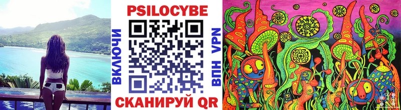 Купить  Зеленоградск  Галлюциногенные грибы GOLDEN TEACHER 